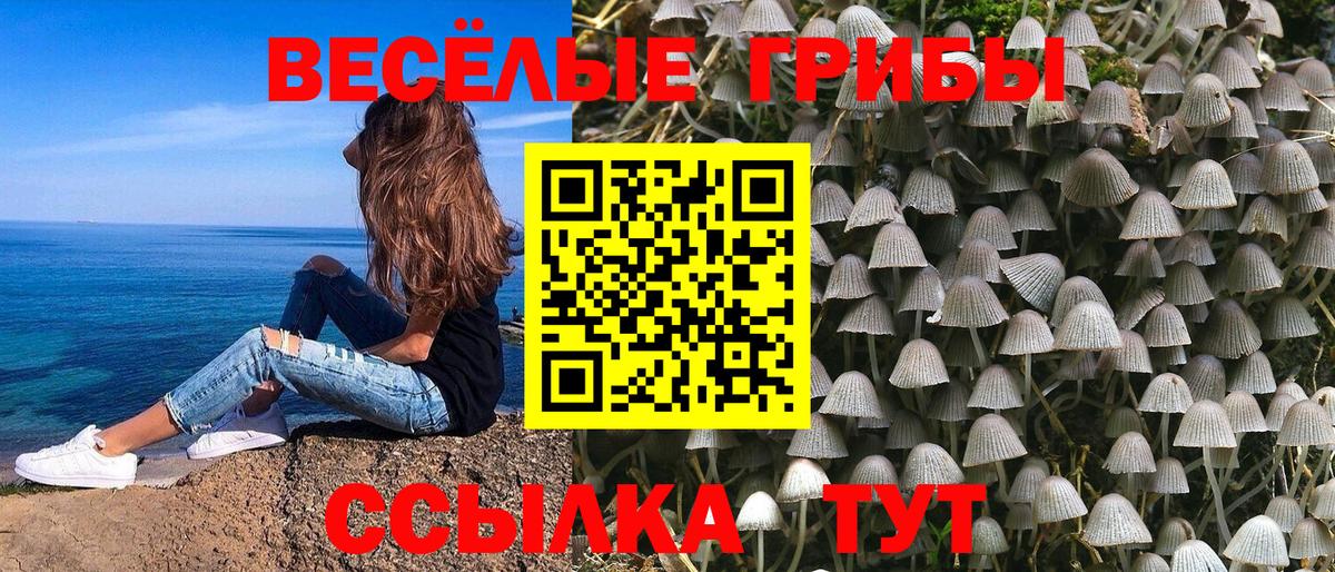Псилоцибиновые грибы ЛСД Зерноград