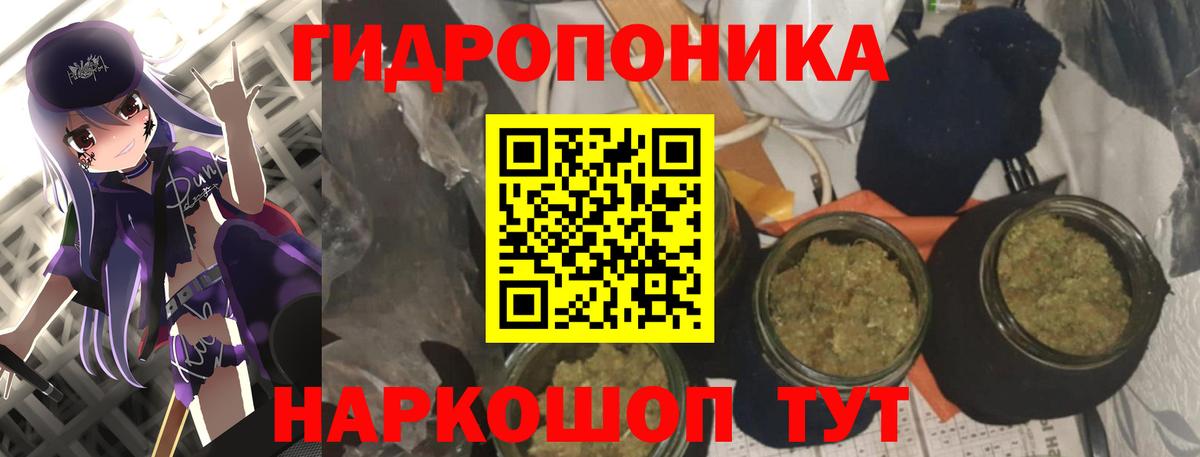 Бошки Шишки семена Зерноград